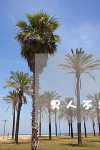 男人不爱了没感情要离婚 男人不爱了没感情要离婚