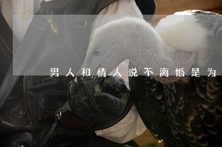 男人和情人说不离婚是为了孩子 男人和情人说不离婚是为了孩子