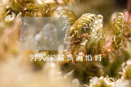 男人家暴该离婚吗