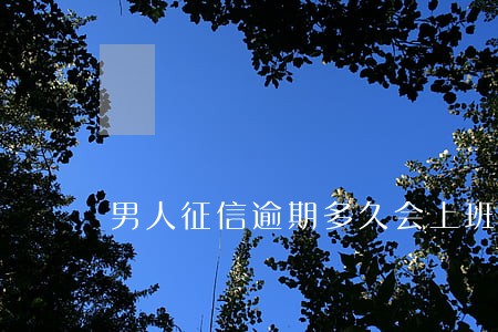 男人征信逾期多久会上班 男人征信逾期多久会上班