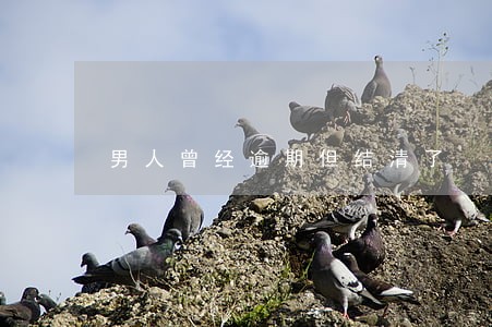 男人曾经逾期但结清了 男人曾经逾期但结清了