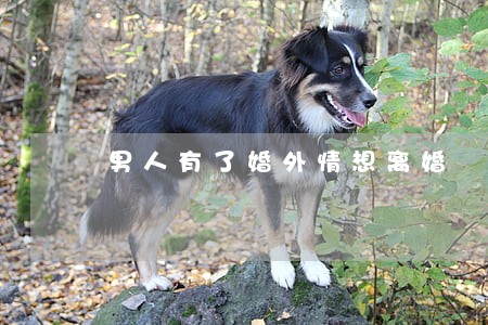 男人有了婚外情想离婚