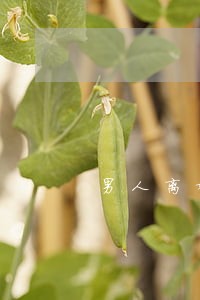 男人离婚了孩子的户口怎么办 男人离婚了孩子的户口怎么办