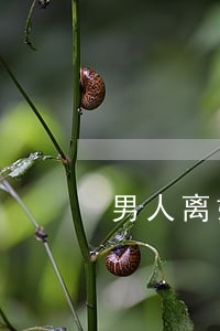 男人离婚后为什么没安全感 男人离婚后为什么没安全感
