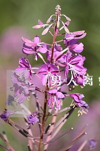 男人离婚后对前妻有没有影响 男人离婚后对前妻有没有影响