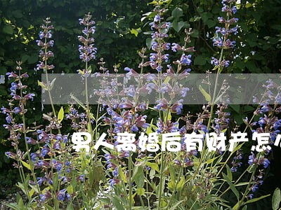 男人离婚后有财产怎么办