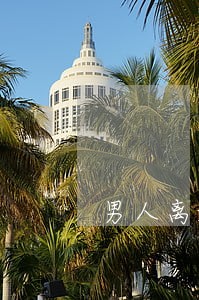 男人离婚后老是不联系女人 男人离婚后老是不联系女人