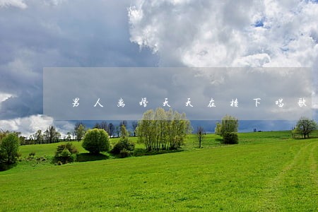 男人离婚天天在楼下唱歌