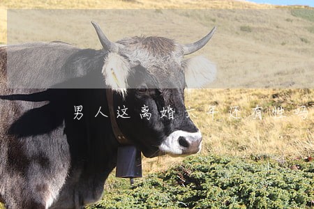 男人这离婚六年还有性吗 男人这离婚六年还有性吗