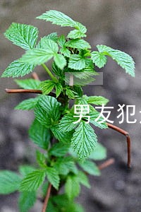 男友犯违法发放贷款罪被抓怎么办 男友犯违法发放贷款罪被抓怎么办