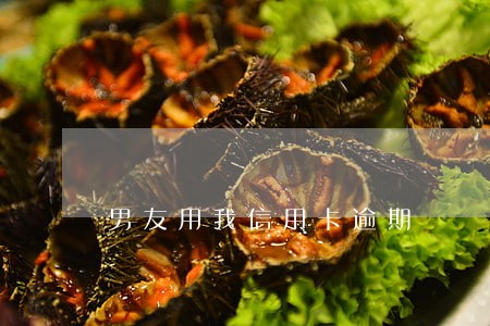 男友用我信用卡逾期 男友用我信用卡逾期