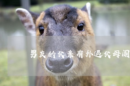 男友的父亲有外遇父母闹离婚 男友的父亲有外遇父母闹离婚