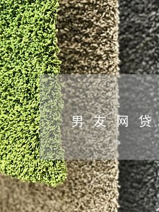 男友网贷信用卡逾期一共二十万