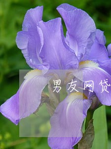 男友网贷逾期能嫁吗