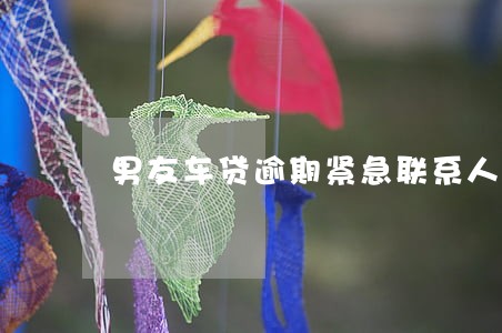 男友车贷逾期紧急联系人是我 男友车贷逾期紧急联系人是我