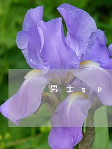 男士spa是不是违法