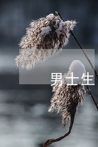 男士生育津贴逾期办理 男士生育津贴逾期办理