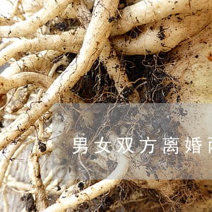 男女双方离婚两个孩子怎么养 男女双方离婚两个孩子怎么养