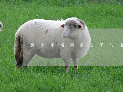 男女未婚同居生子的违法吗 男女未婚同居生子的违法吗