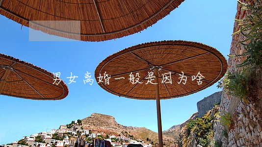 男女离婚一般是因为啥 男女离婚一般是因为啥