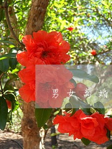 男女离婚一般谁先后悔 男女离婚一般谁先后悔