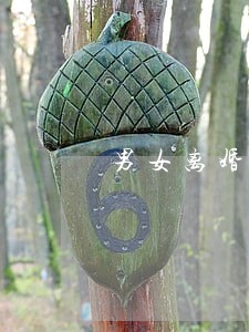 男女离婚协议书写几个字 男女离婚协议书写几个字