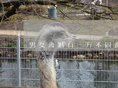 男女离婚有一方不同意能离 男女离婚有一方不同意能离