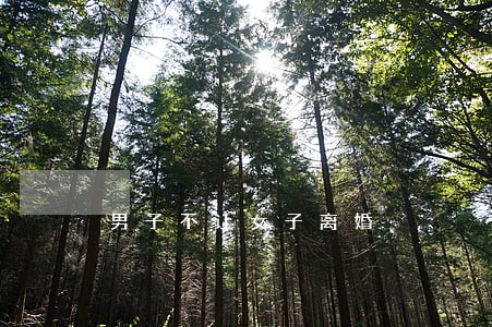 男子不让女子离婚 男子不让女子离婚
