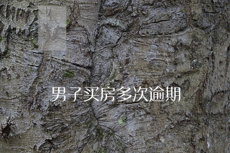 男子买房多次逾期 男子买房多次逾期