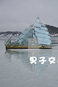 男子交通违法被拦下核查