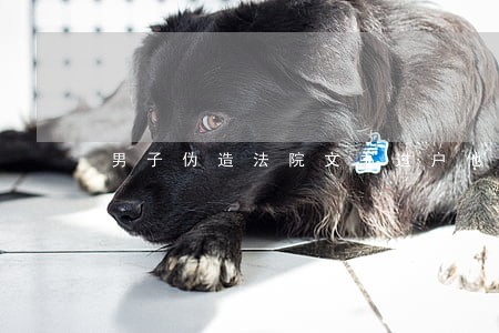 男子伪造法院文书过户他人商铺 男子伪造法院文书过户他人商铺
