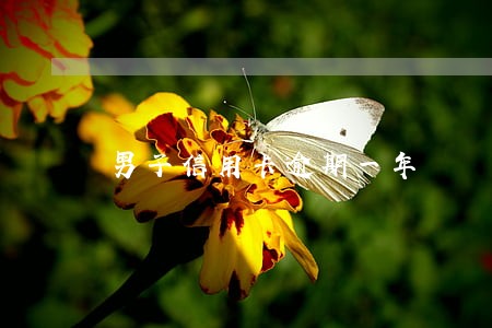 男子信用卡逾期一年 男子信用卡逾期一年
