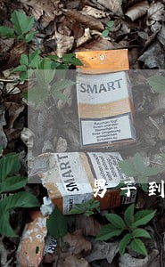 男子到交警大队处理违法业务被逮 男子到交警大队处理违法业务被逮