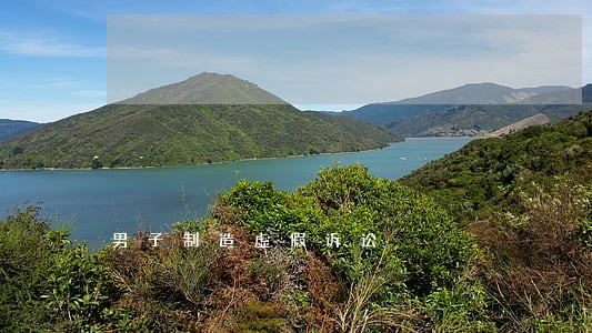 男子制造虚假诉讼 男子制造虚假诉讼