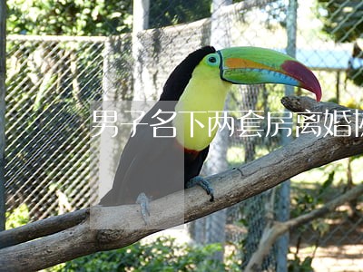 男子名下两套房离婚协议 男子名下两套房离婚协议