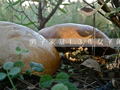 男子家暴13年女子闹离婚 男子家暴13年女子闹离婚