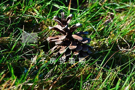 男子房贷逾期 男子房贷逾期