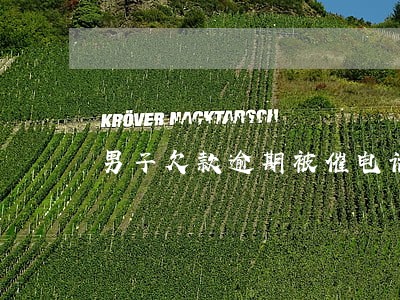 男子欠款逾期被催电话录音 男子欠款逾期被催电话录音