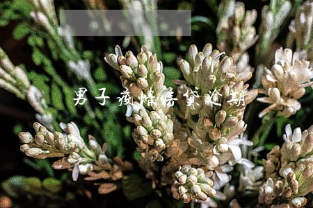 男子疫情房贷逾期 男子疫情房贷逾期