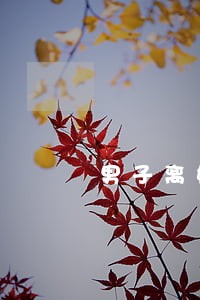 男子离婚意外买彩票得了3千万 男子离婚意外买彩票得了3千万