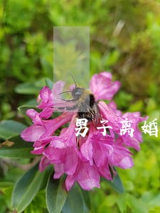 男子离婚说房子给女儿 男子离婚说房子给女儿