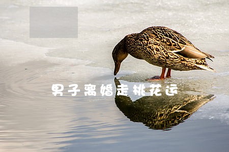 男子离婚走桃花运 男子离婚走桃花运