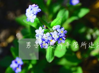男子竟起诉车管所违法登记