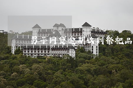 男子网贷逾期收到祭祀品