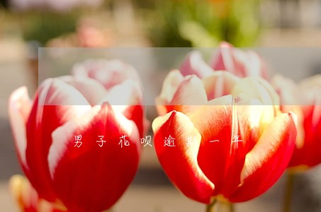 男子花呗逾期一年 男子花呗逾期一年