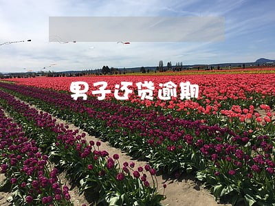 男子还贷逾期 男子还贷逾期