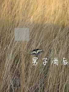 男子酒后吐真言必须离婚 男子酒后吐真言必须离婚