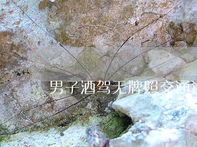 男子酒驾无牌照交通违法 男子酒驾无牌照交通违法