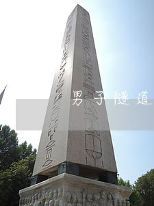 男子隧道内违法超车