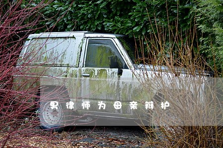 男律师为母亲辩护 男律师为母亲辩护